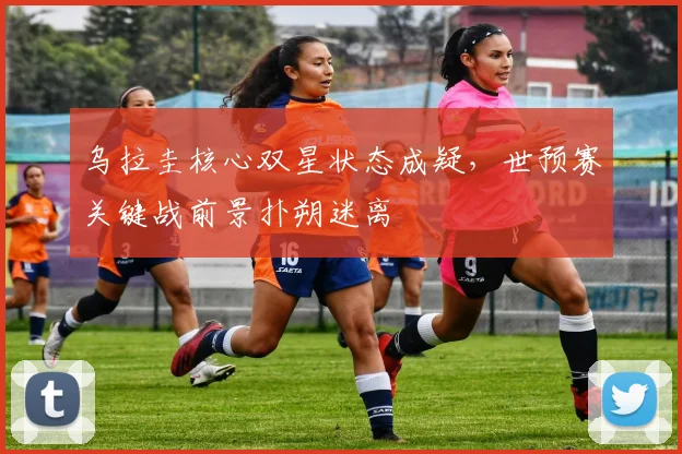 乌拉圭核心双星状态成疑，世预赛关键战前景扑朔迷离