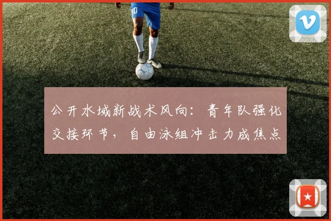 公开水域新战术风向：青年队强化交接环节，自由泳组冲击力成焦点