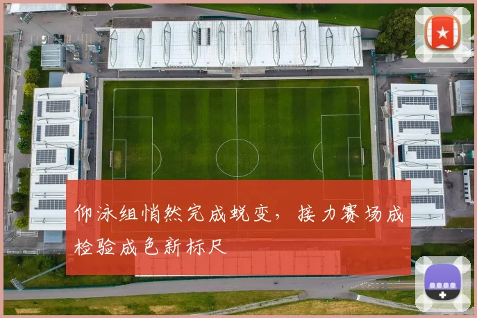 仰泳组悄然完成蜕变，接力赛场成检验成色新标尺
