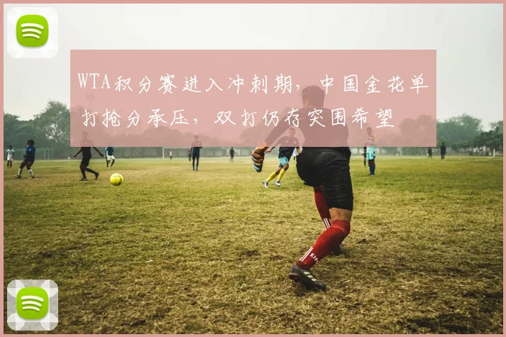WTA积分赛进入冲刺期，中国金花单打抢分承压，双打仍存突围希望